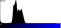 Blue Histogram