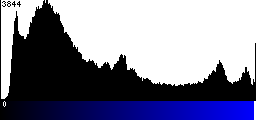 Blue Histogram