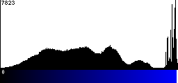 Blue Histogram