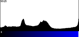 Blue Histogram