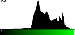Green Histogram