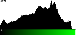 Green Histogram