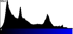 Blue Histogram