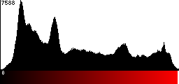 Red Histogram