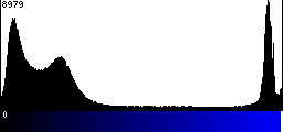Blue Histogram