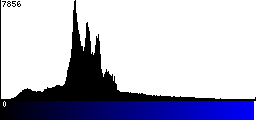 Blue Histogram
