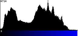 Blue Histogram