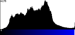 Blue Histogram