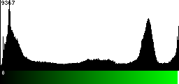 Green Histogram
