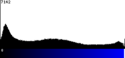 Blue Histogram