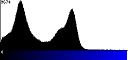 Blue Histogram
