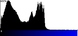 Blue Histogram