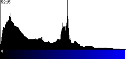 Blue Histogram