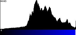 Blue Histogram