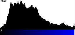 Blue Histogram