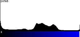 Blue Histogram