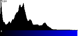 Blue Histogram