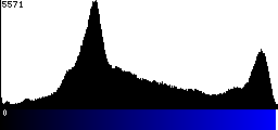 Blue Histogram