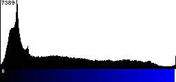 Blue Histogram