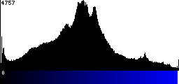 Blue Histogram