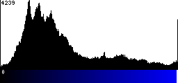 Blue Histogram