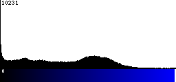 Blue Histogram