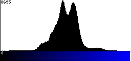 Blue Histogram