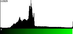 Green Histogram