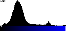 Blue Histogram