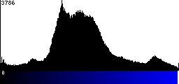 Blue Histogram