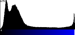 Blue Histogram