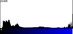 Blue Histogram