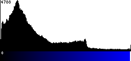Blue Histogram
