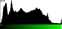 Green Histogram