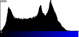 Blue Histogram