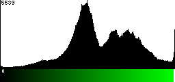 Green Histogram