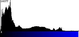 Blue Histogram