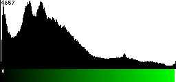Green Histogram