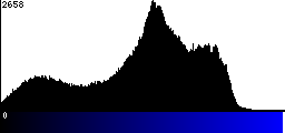 Blue Histogram