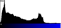 Blue Histogram