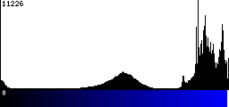 Blue Histogram