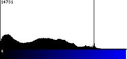 Blue Histogram