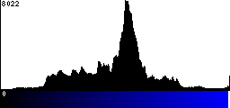 Blue Histogram