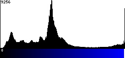 Blue Histogram