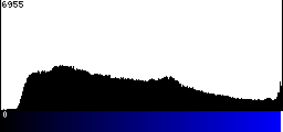 Blue Histogram