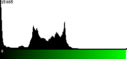 Green Histogram