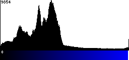 Blue Histogram
