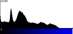 Blue Histogram