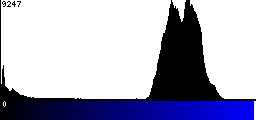 Blue Histogram