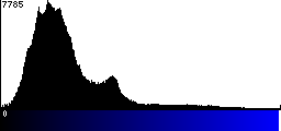Blue Histogram